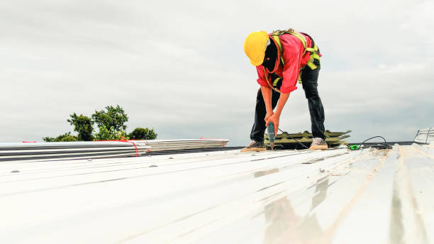 Best Roof Maintenance and Cleaning  in Scottsbluff, NE