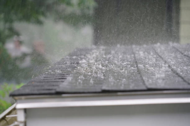 Best Roof Ventilation Installation  in Scottsbluff, NE