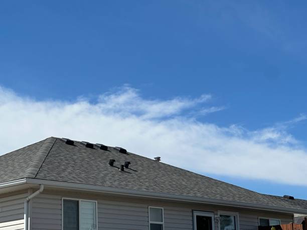 Best Roof Coating and Sealing  in Scottsbluff, NE